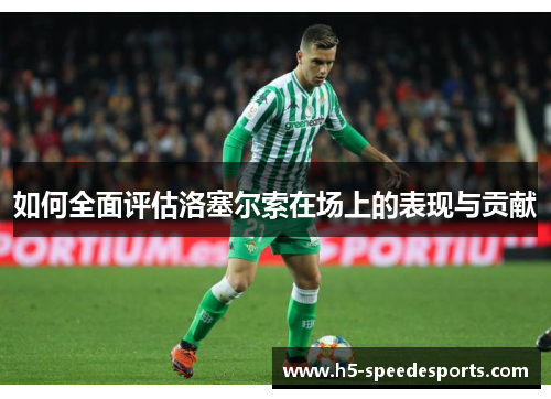 如何全面评估洛塞尔索在场上的表现与贡献